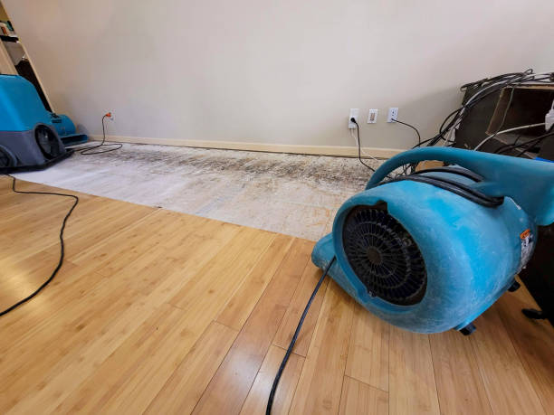 Professional Basement Flood Cleanup technician working in Lee, NH